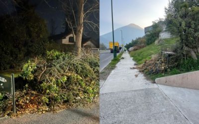 Avance en retiro de ramas